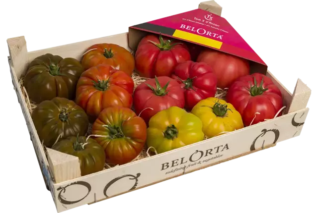 Heirloom tomaten kist 3 kilogram